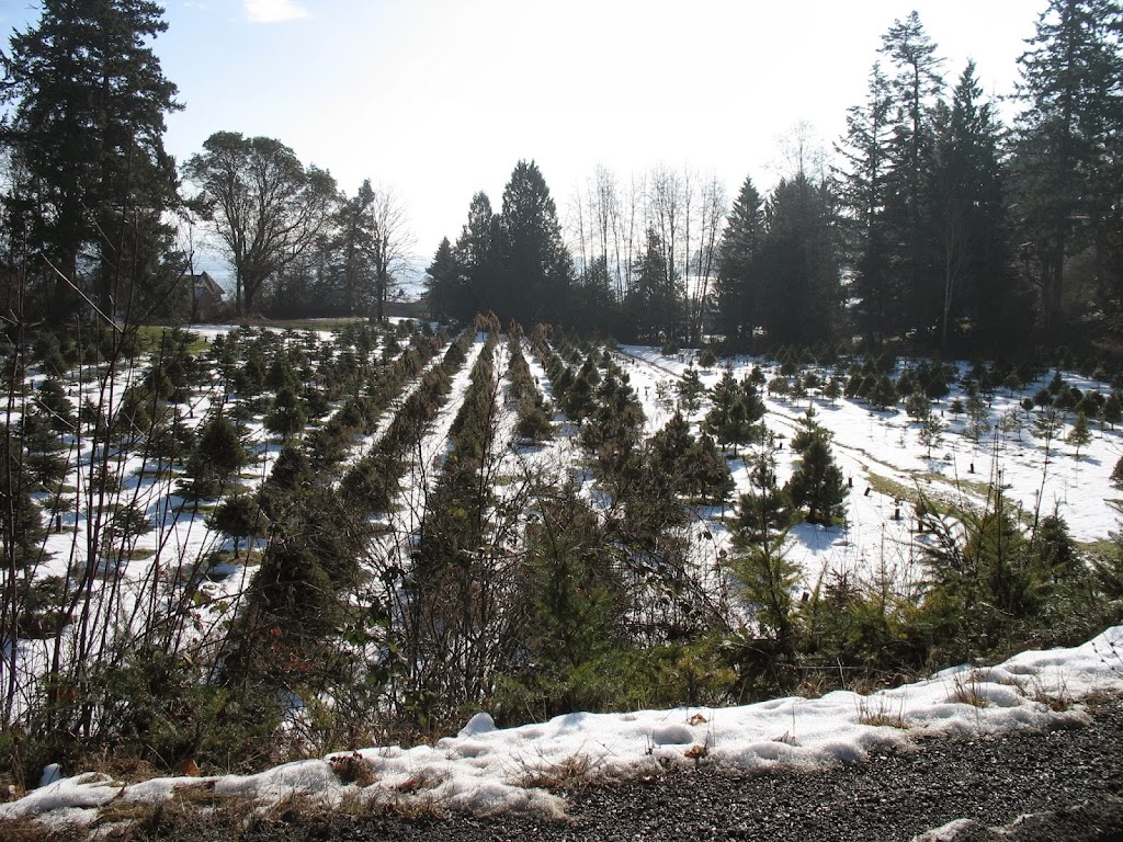 Boat Harbour Farm Nanaimo - Closed till 2023 Christmas Season | 2080 Pace Rd, Nanaimo, BC V9X 1N8, Canada | Phone: (250) 722-2177