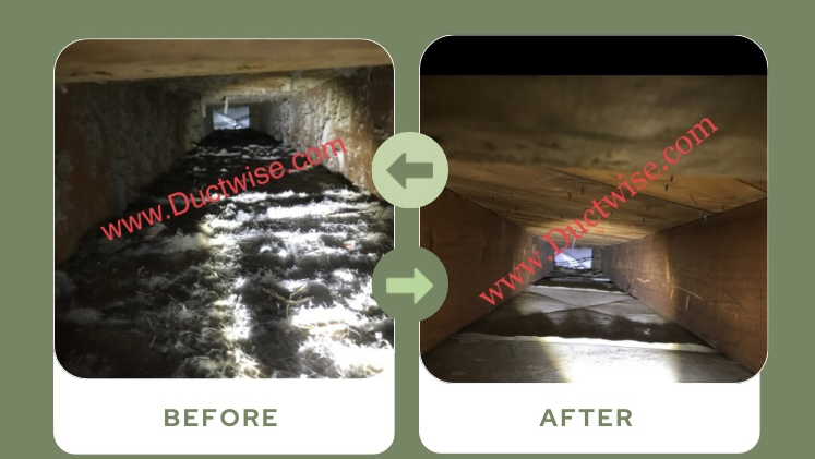 Ductwise Duct Cleaning Cobourg | 73 Ballantine St, Cobourg, ON K9A 5H2, Canada | Phone: (905) 372-3208