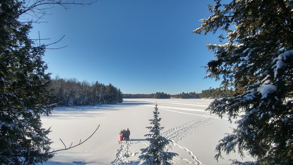 Cotton Co. Snowmobile Rentals | Port Sydney, ON P0B 1L0, Canada | Phone: (905) 379-5842