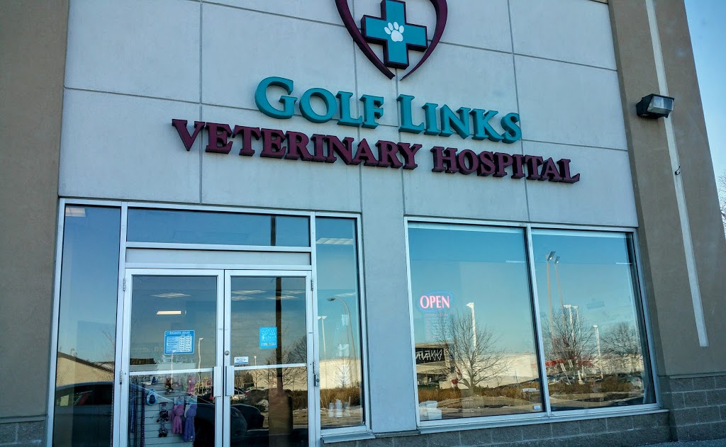 Golf Links Veterinary Hospital | 27 Legend Ct, Ancaster, ON L9K 1J3, Canada | Phone: (905) 304-7387