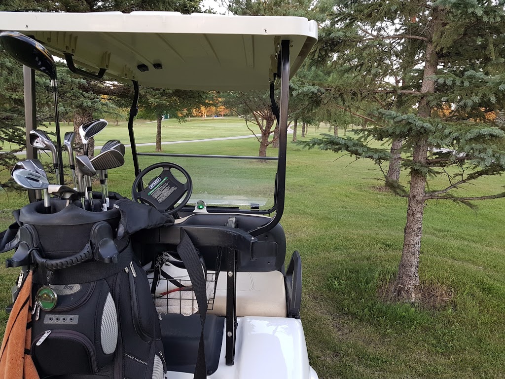 Carman Golf and Curling Club | 4 Ave SW, Carman, MB R0G 0J0, Canada | Phone: (204) 745-2366