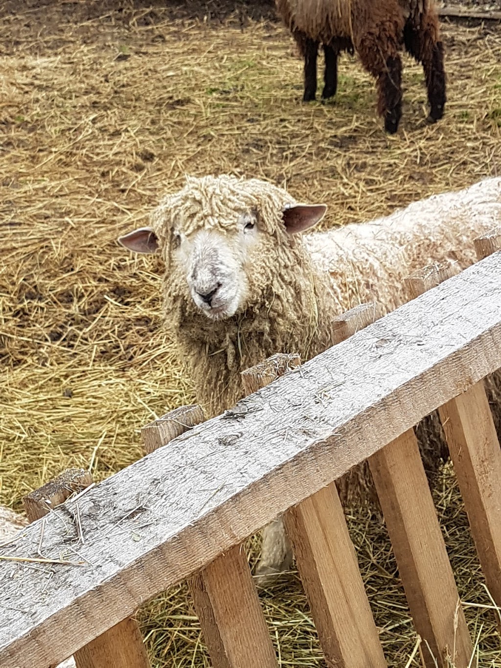 Ross Farm Museum | 4568 NS-12, New Ross, NS B0J 2M0, Canada | Phone: (902) 689-2210