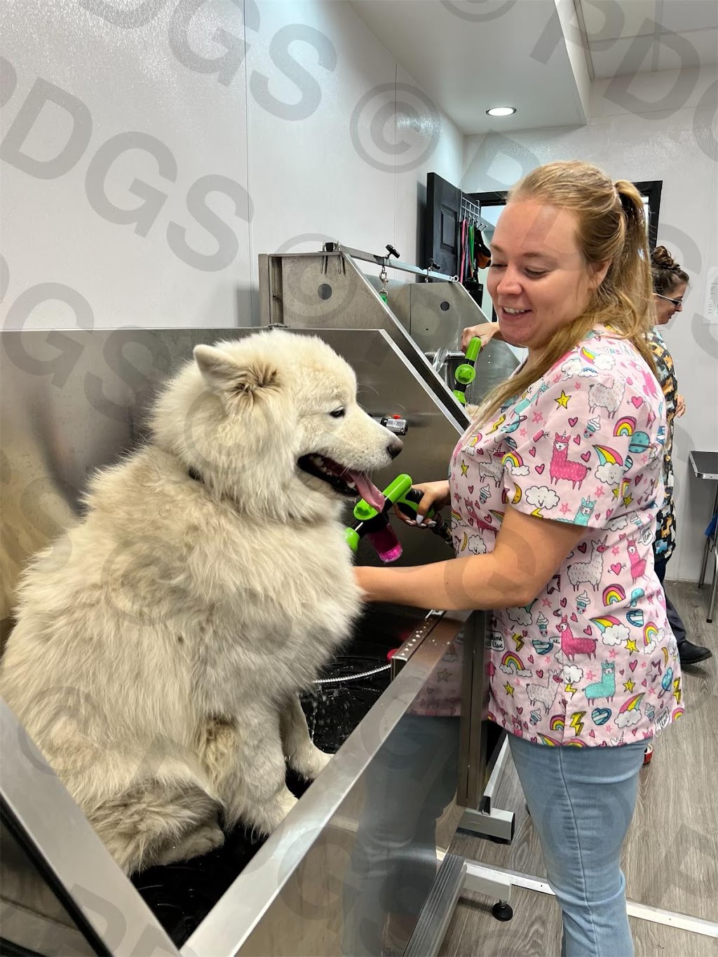 Prestige Dog Grooming School | 500 Royal Oak Dr NW, Calgary, AB T3G 0E8, Canada | Phone: (403) 396-1769