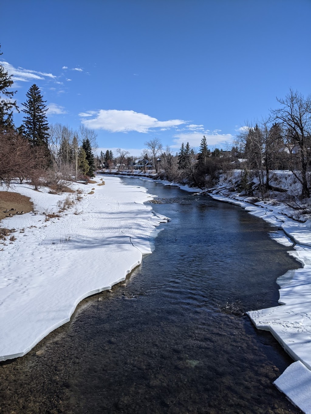 Pathway Connectivity | 1439 17 Ave SE #103, Calgary, AB T2G 1J9, Canada | Phone: (403) 243-8110