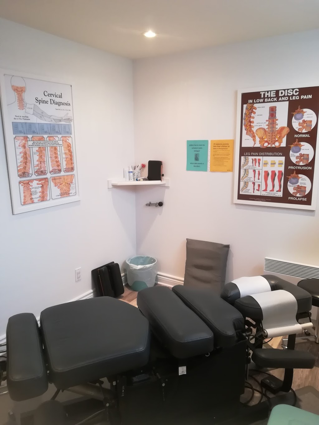 Dr Stephanie de Haas, D.C. - Chiropractor | 1832 Northlands Dr Apt 1, Orléans, ON K4A 3S2, Canada | Phone: (613) 830-8632