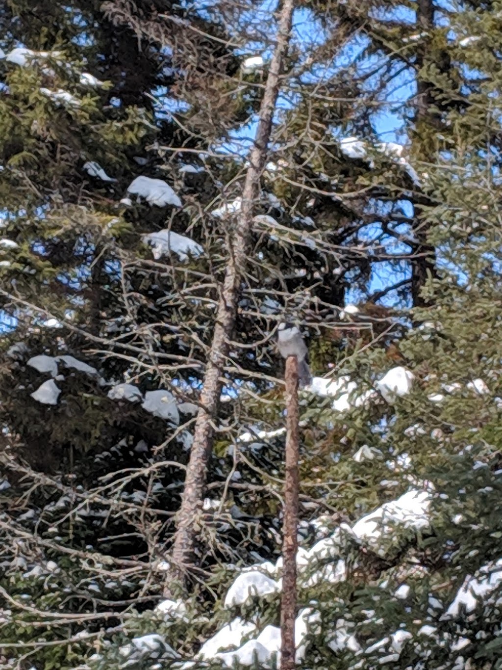 Les Sentiers de LInconnu -Sentiers Hivernaux- | 220 QC-283, Notre-Dame-du-Rosaire, QC G0R 2H0, Canada | Phone: (418) 802-2482