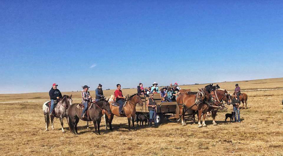 Natural Touch Equine Farm | Range Rd 245, Wheatland County, AB T0J 2R0, Canada | Phone: (403) 901-8117