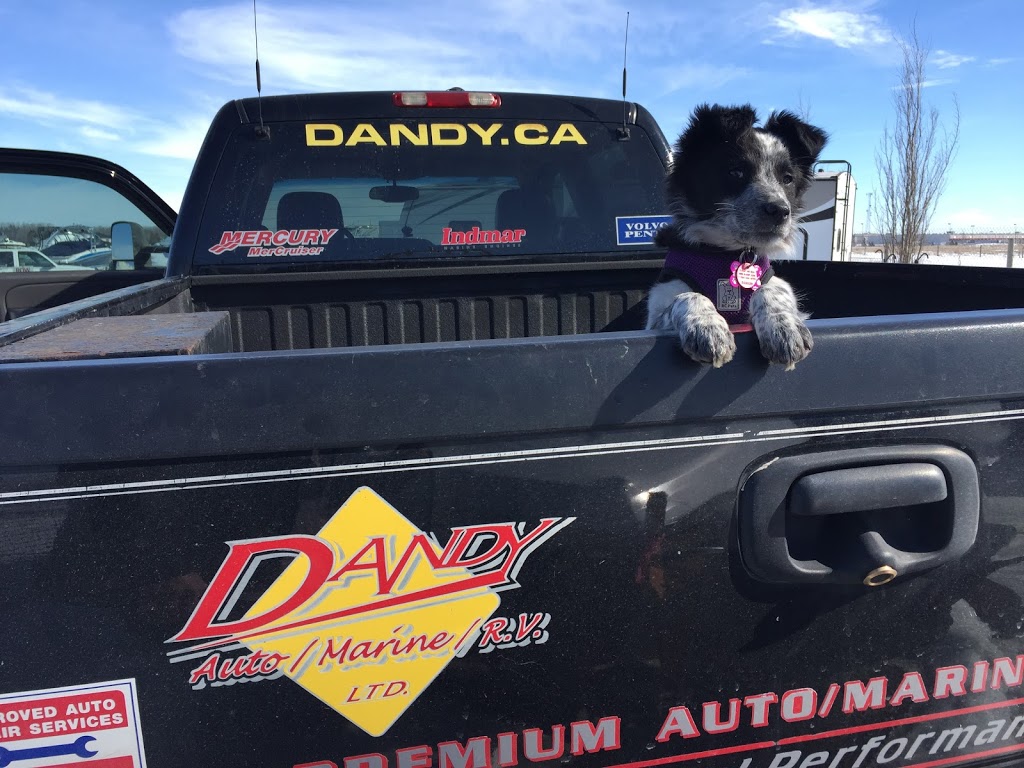 Dandy Auto Marine RV Ltd | 4 East Lake Blvd NE #4, Airdrie, AB T4A 2G8, Canada | Phone: (403) 945-1555