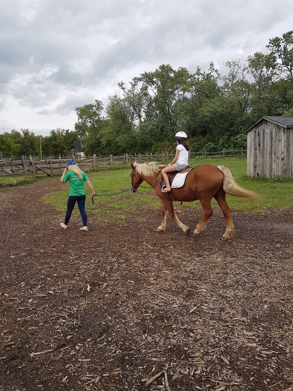 Earthbound Kids / Camp Tree Top | 155 Uxbridge Pickering Townline, Whitchurch-Stouffville, ON L4A 7X4, Canada | Phone: (905) 642-6087