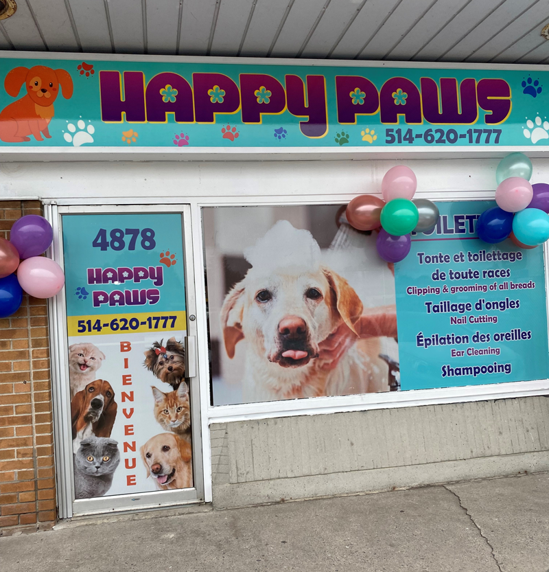 Happy Paws | 4878 Bd Saint-Charles, Pierrefonds - Roxboro, QC H9H 3E2, Canada | Phone: (514) 620-1777