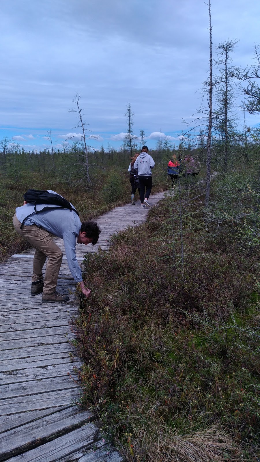 Tourbières-de-Lanoraie Ecological Reserve | Lanoraie, QC J5T 3K6, Canada