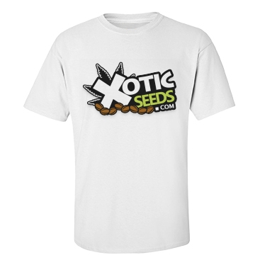 Xotic Seeds | 40 Regan Road #12 #B, Brampton, ON L7A 1B3, Canada | Phone: (905) 840-4408