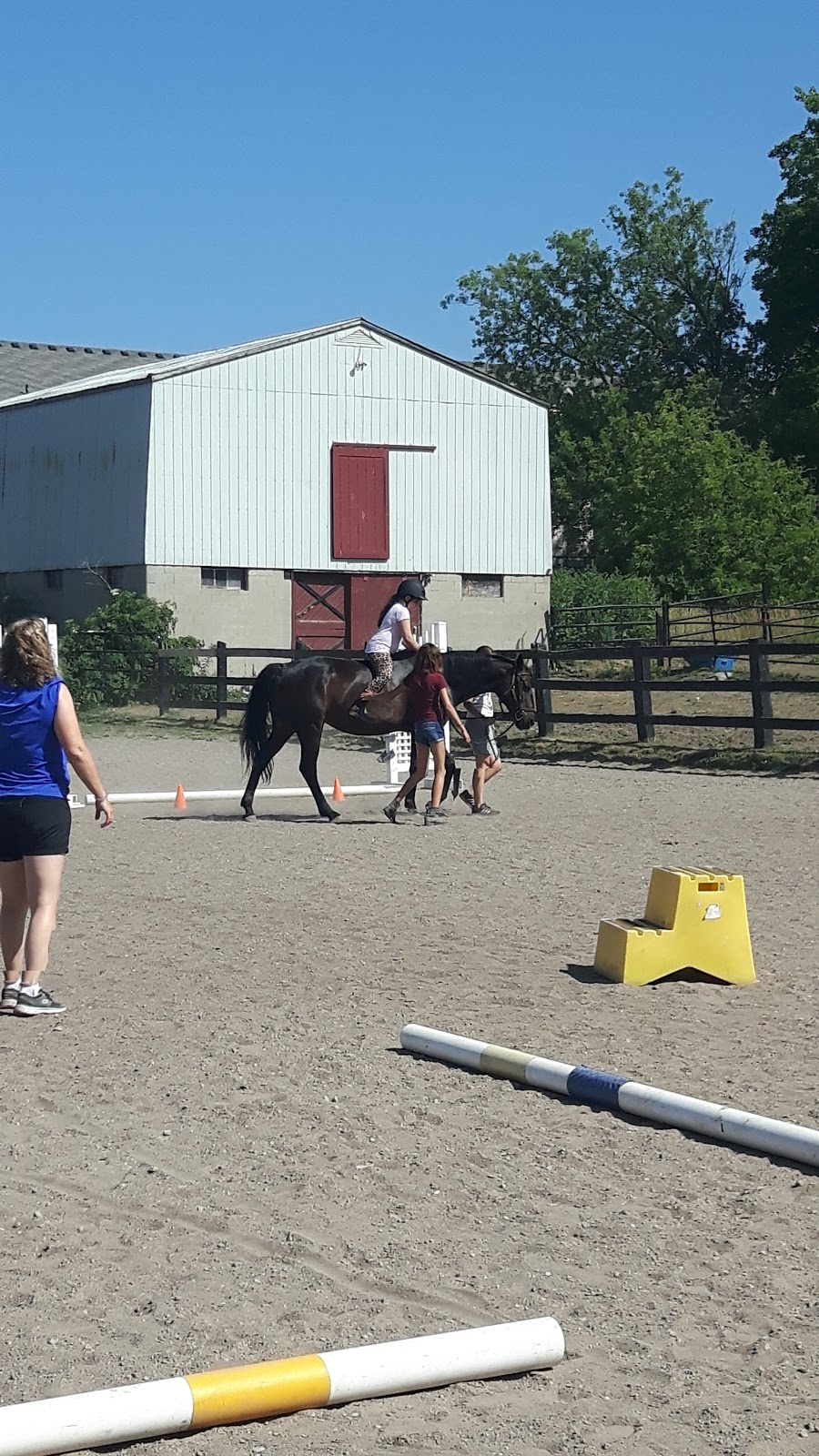 Victoria Rode Horses | 1065 Victoria Rd S, Guelph, ON N1L 1B3, Canada | Phone: (519) 803-0160