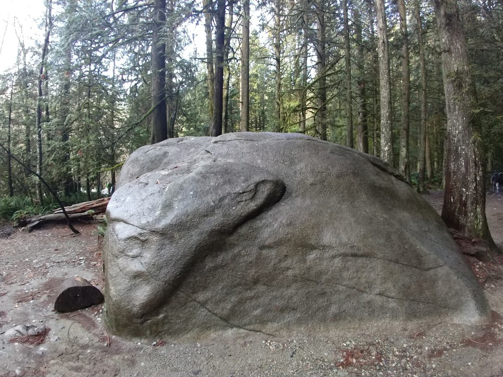 Lynn Canyon Bouldering Field | Lynn Valley Rd, North Vancouver, BC V7K 2T5, Canada