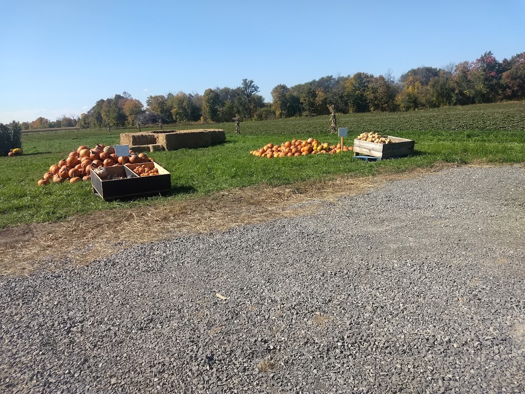 Foster Family Farm - Borrisokane Farm Stand | 3390 Borrisokane Rd, Ottawa, ON K2J 4J3, Canada | Phone: (613) 851-3903