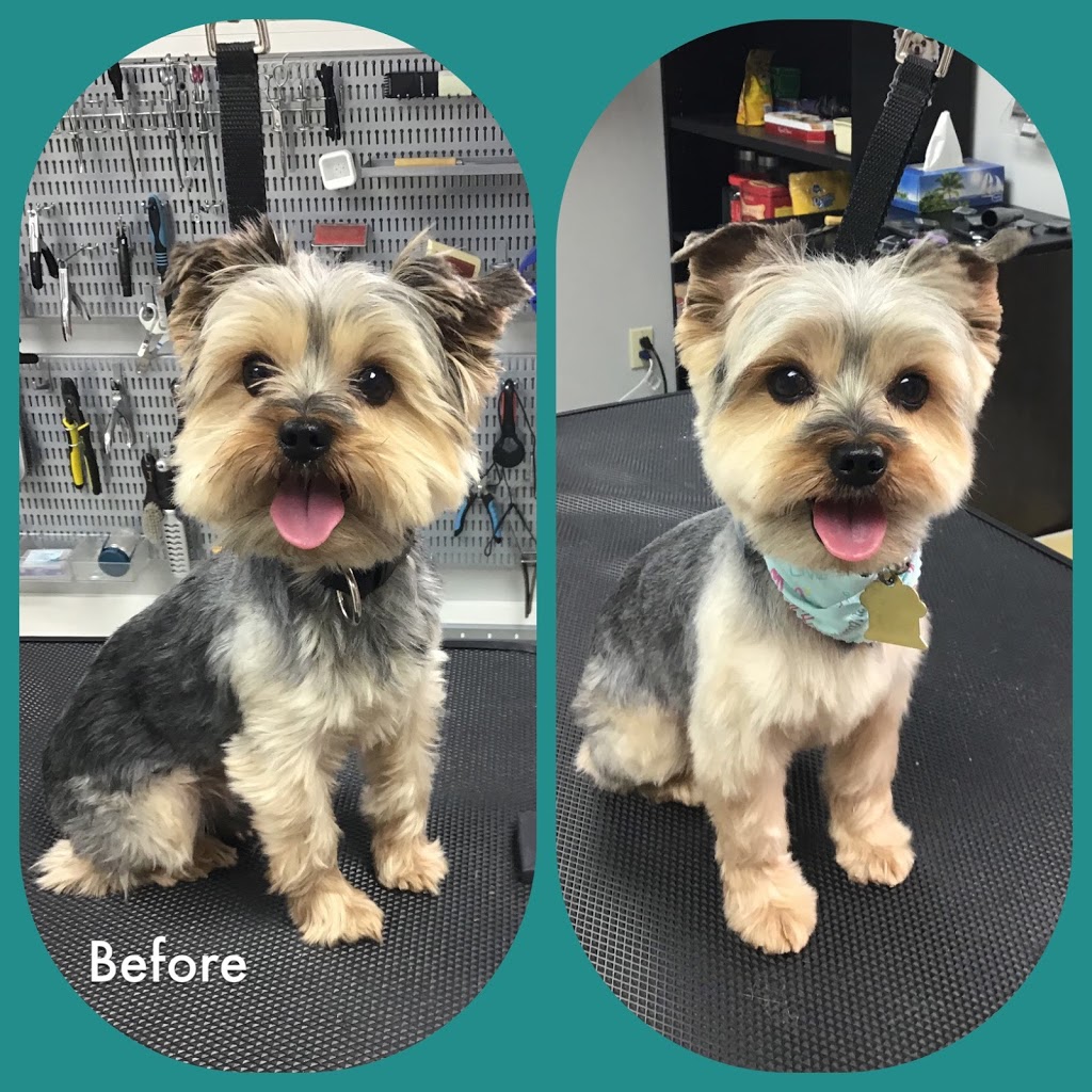 Bark N Beauties Dog Grooming Salon | 35661 Maguire Rd, Ailsa Craig, ON N0M 1A0, Canada | Phone: (519) 228-6861