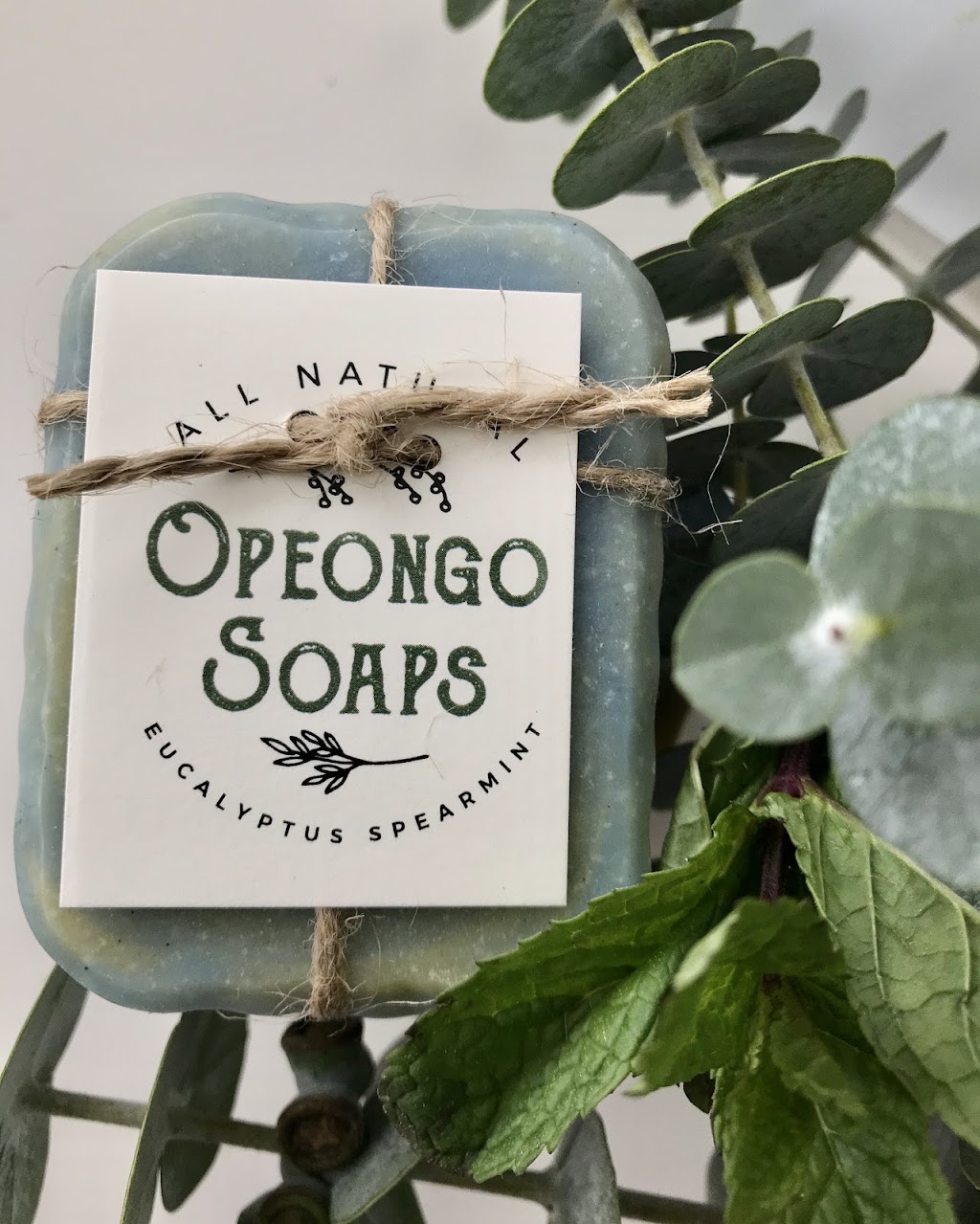 Opeongo Soaps | 108 Crimson Maple Rd, Eganville, ON K0J 1T0, Canada | Phone: (613) 633-3134