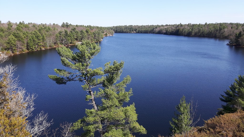 McCrae Lake Rapids | McCrae Lake Trail, Georgian Bay, ON P0C, Canada