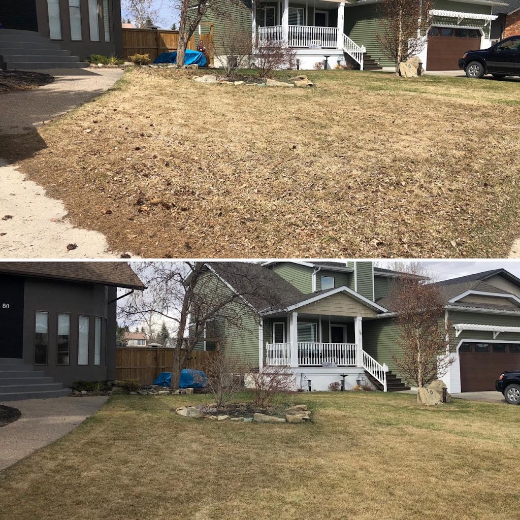 Calgary Level Up Lawn & Snow | 16 Amiens Crescent SW, Calgary, AB T2T 6E8, Canada | Phone: (587) 224-9523