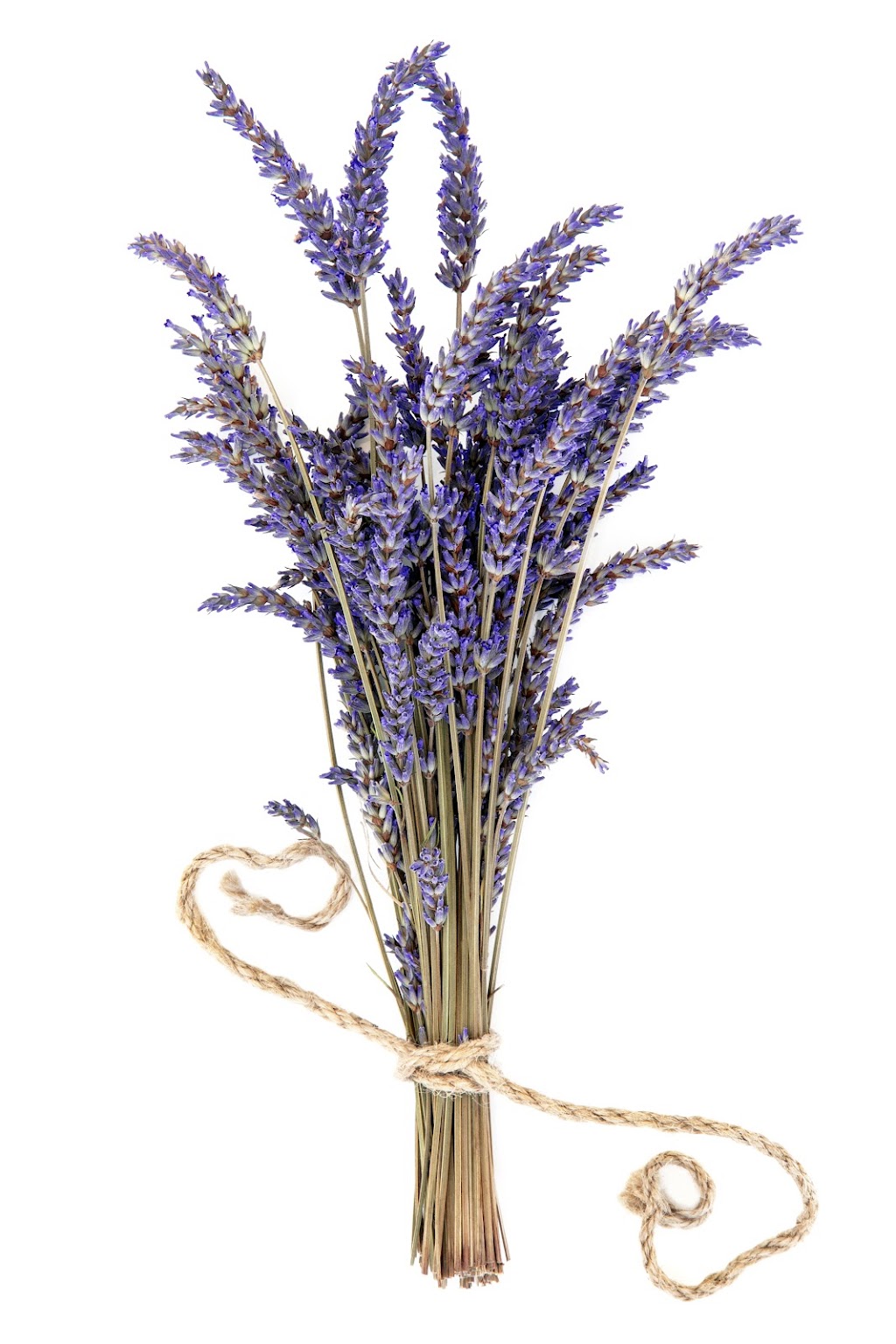 Sooke Organic Lavender | 3039 Phillips Rd, Sooke, BC V9Z 1K7, Canada | Phone: (250) 380-8923