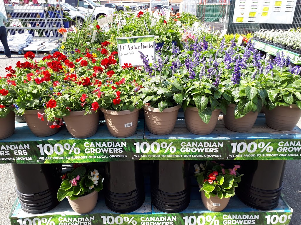 Superstore Garden Center | 745 Sackville Dr, Lower Sackville, NS B4E 2R2, Canada | Phone: (902) 864-2299