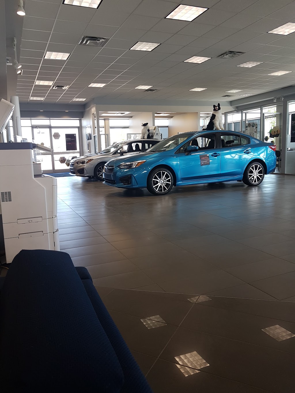 Rally Subaru | 5220 Gateway Blvd NW, Edmonton, AB T6H 4J7, Canada | Phone: (780) 989-0700