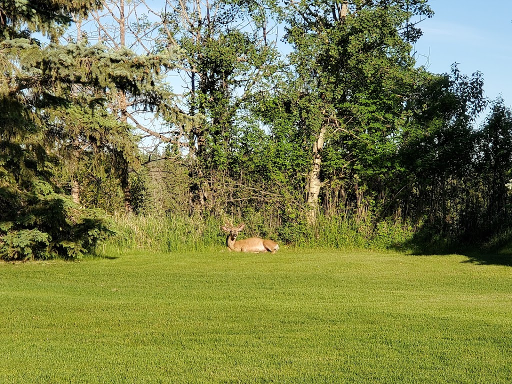 Red Deer Golf & Country Club | 4500 Fountain Dr, Red Deer, AB T4N 6W8, Canada | Phone: (403) 347-5441