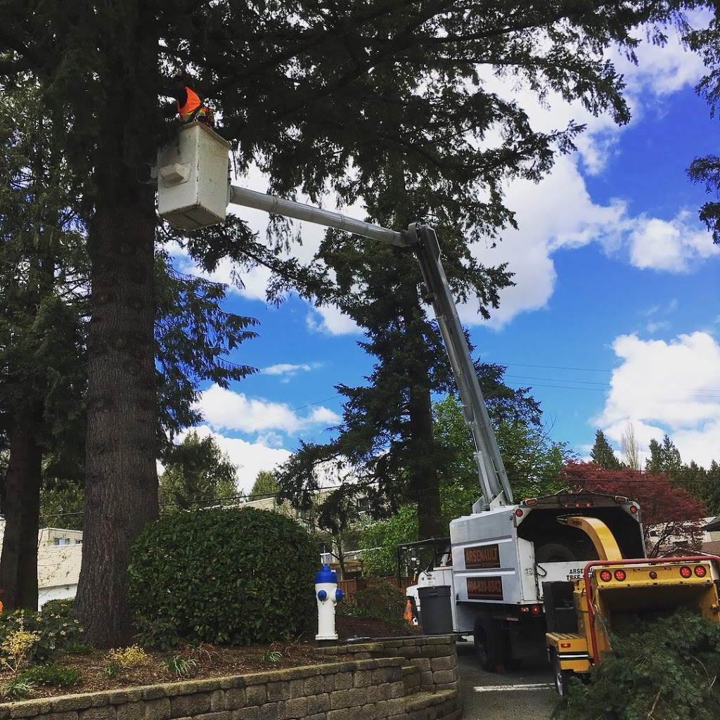 Arsenault Tree Service | 33746 Best Ave, Mission, BC V2V 6Z9, Canada | Phone: (604) 820-8842