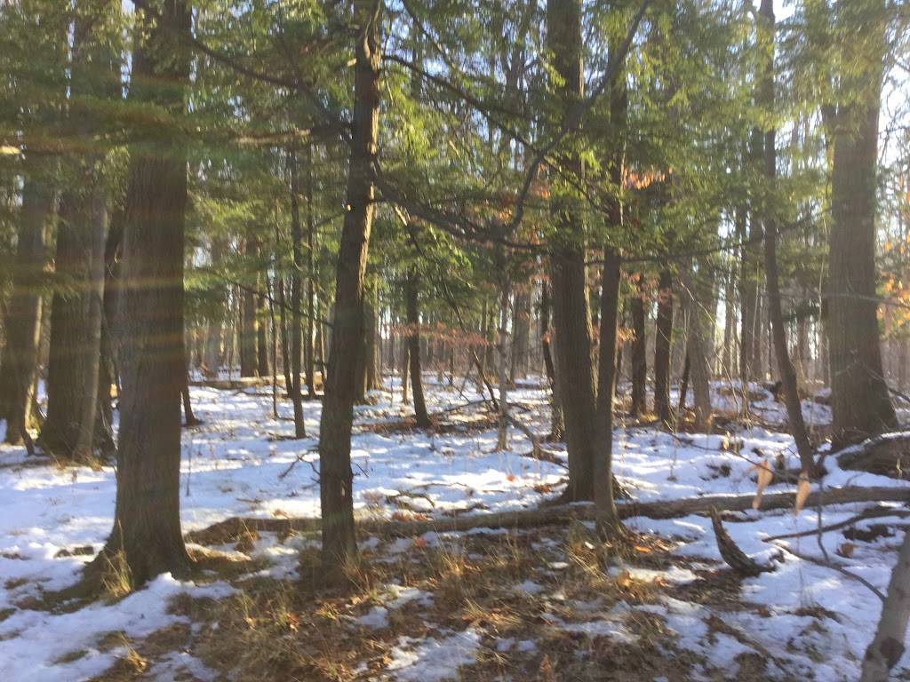 UTM Nature Trail | Mississauga, ON L5L 1J7, Canada