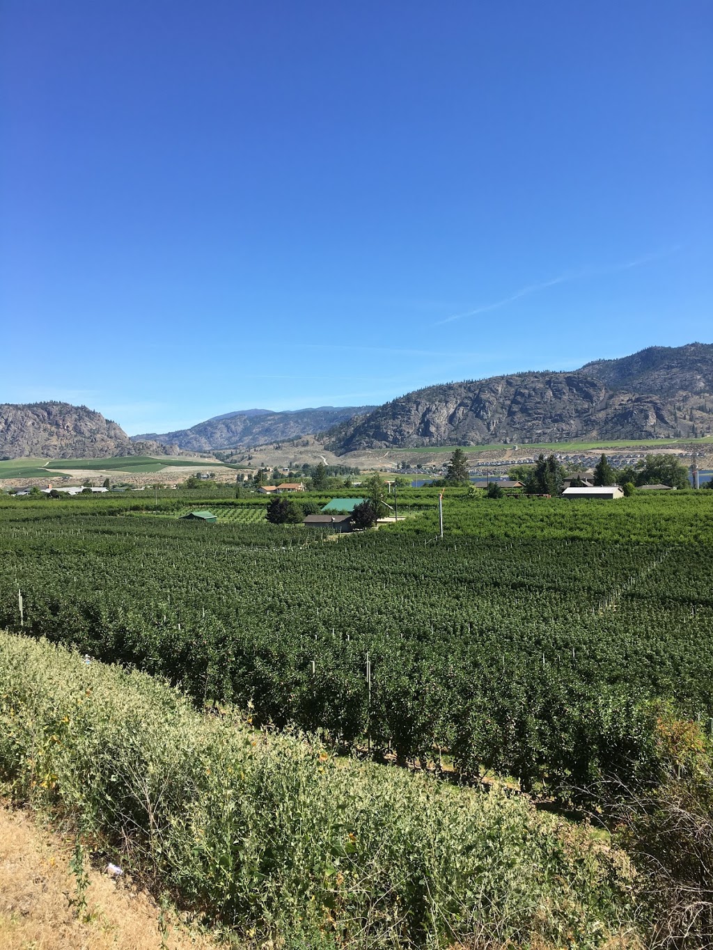 Town of Osoyoos | 8707 Main St, Osoyoos, BC V0H 1V4, Canada | Phone: (250) 495-6515