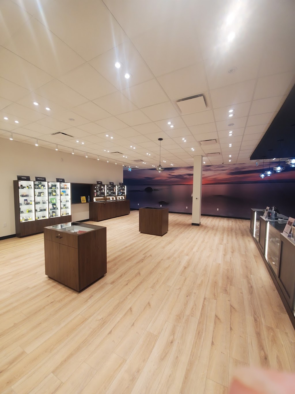 TREES Cannabis | 131 Kennedy Rd Unit 1, Brampton, ON L6V 1X9, Canada | Phone: (289) 633-2380