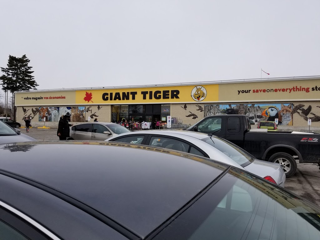 Giant Tiger | 2480 Walkley Rd, Ottawa, ON K1G 6A9, Canada | Phone: (613) 526-2416