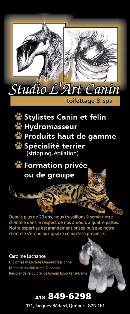 Studio Lart Canin | 2087 Av. du Lac-Saint-Charles, Québec, QC G3G 2Y1, Canada | Phone: (418) 849-6298