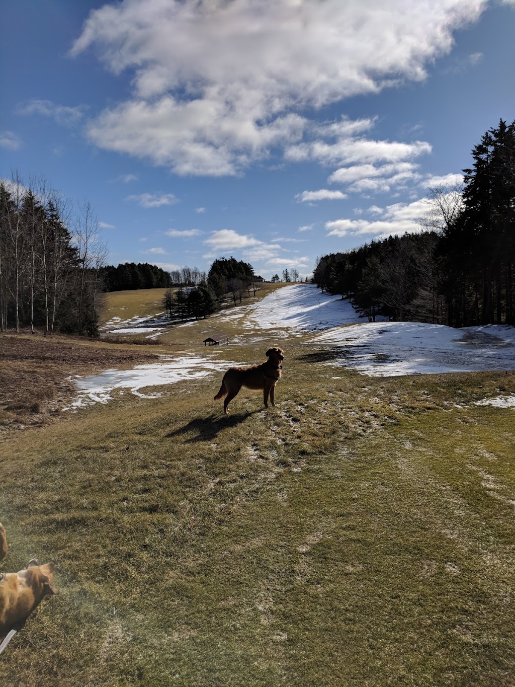 Ashburn Golf Course | 60 Golf Club Rd, Windsor Junction, NS B2T 1Z2, Canada | Phone: (902) 448-8217