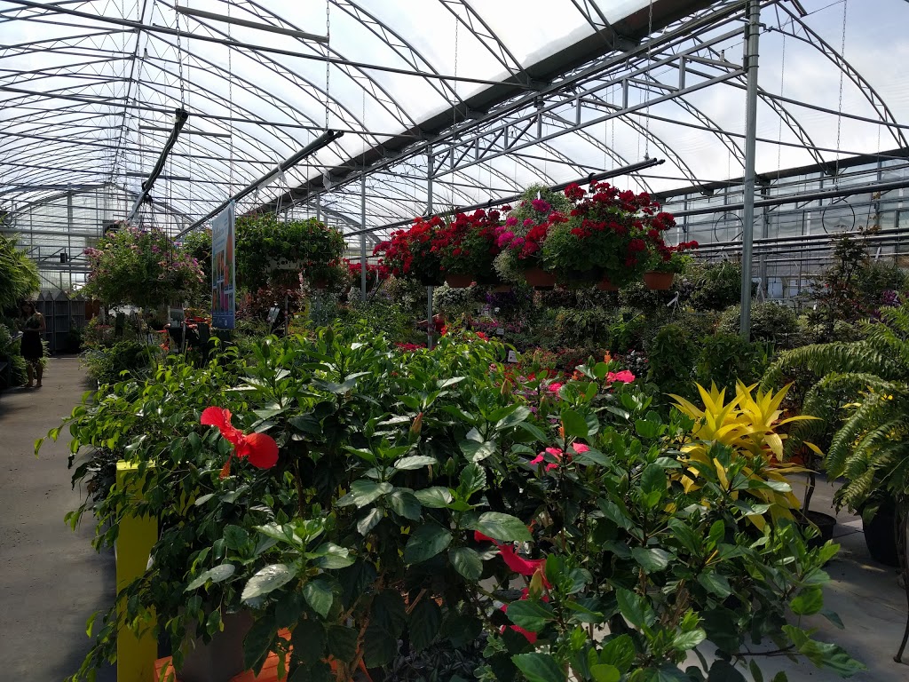 Garden Center Varennes | 1721 QC-132, Varennes, QC J3X 1P7, Canada | Phone: (450) 652-7007