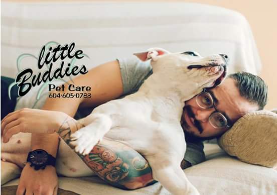 Little Buddies Pet Care | 1952 Comox St, Vancouver, BC V6G 1R5, Canada | Phone: (604) 605-0783