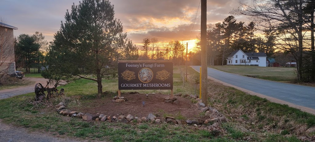 Feeneys Fungi Farm | 1248 Ward Rd, Aylesford, NS B0P 1C0, Canada | Phone: (226) 792-2455