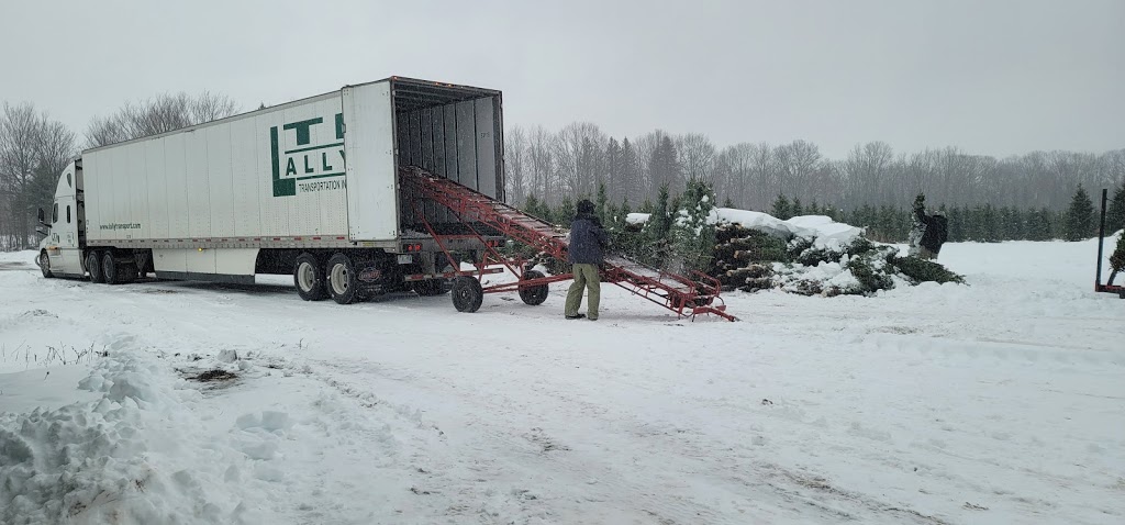 Georgian Bay Tree Farms | 6073 Line 4 N, Oro-Medonte, ON L4R 4K3, Canada | Phone: (647) 278-3225