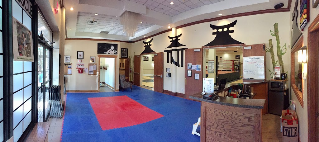 TNT School Of Martial Arts | 169 Dufferin St S #1, Alliston, ON L9R 1E6, Canada | Phone: (705) 434-1168