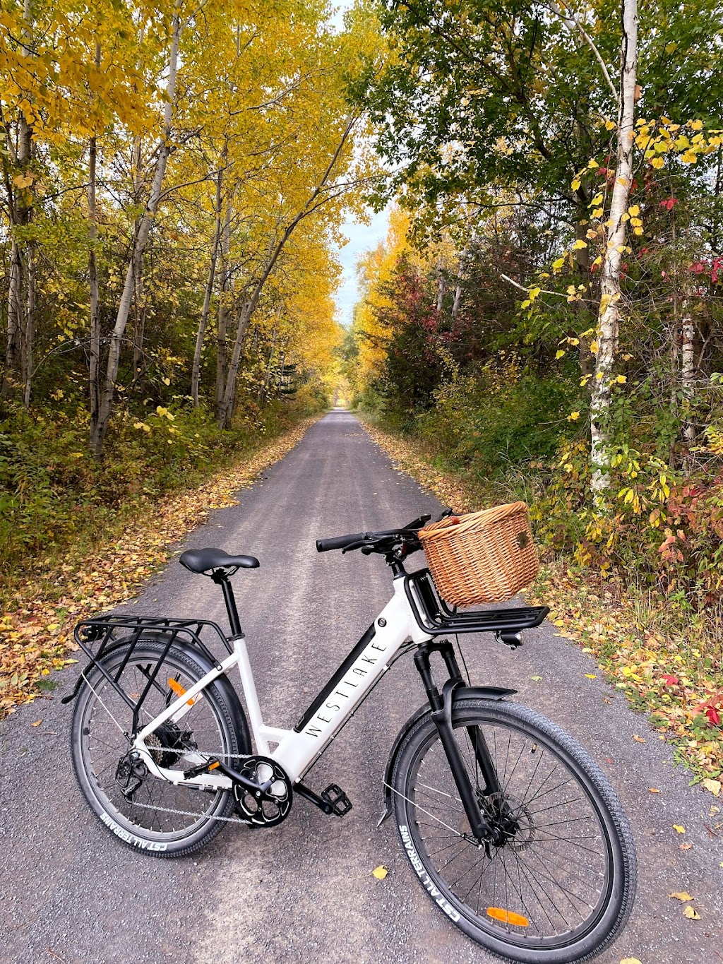 Westlake EBikes Rentals + Sales | 15786 Loyalist Pkwy, Prince Edward, ON K0K 1G0, Canada | Phone: (613) 242-0837