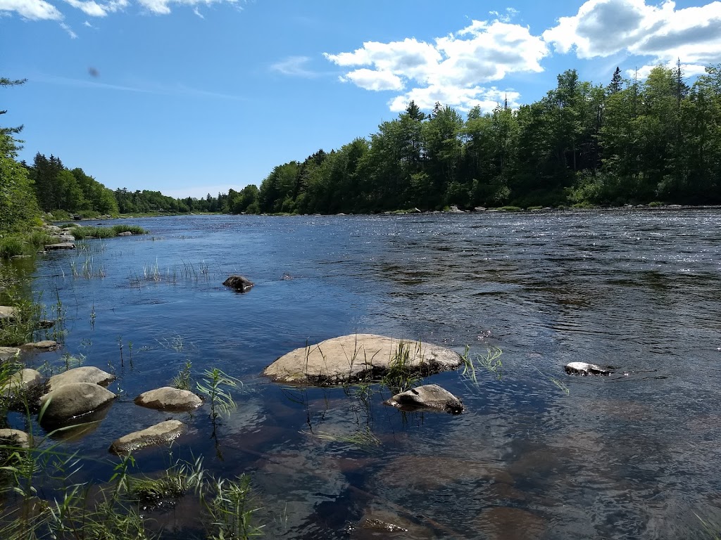 St Marys River Association Interpretive Centre | 8404 Nova Scotia Trunk 7, Sherbrooke, NS B0J 3C0, Canada | Phone: (902) 522-2099