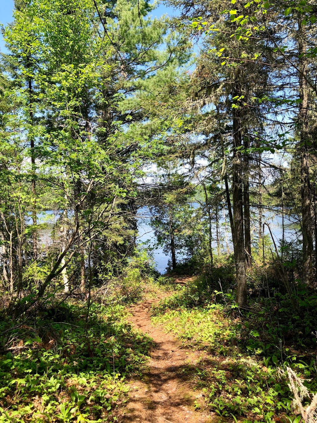 Pourvoirie Humanité | Unnamed Road, Saint-Siméon, QC G0T 1X0, Canada | Phone: (418) 638-5151