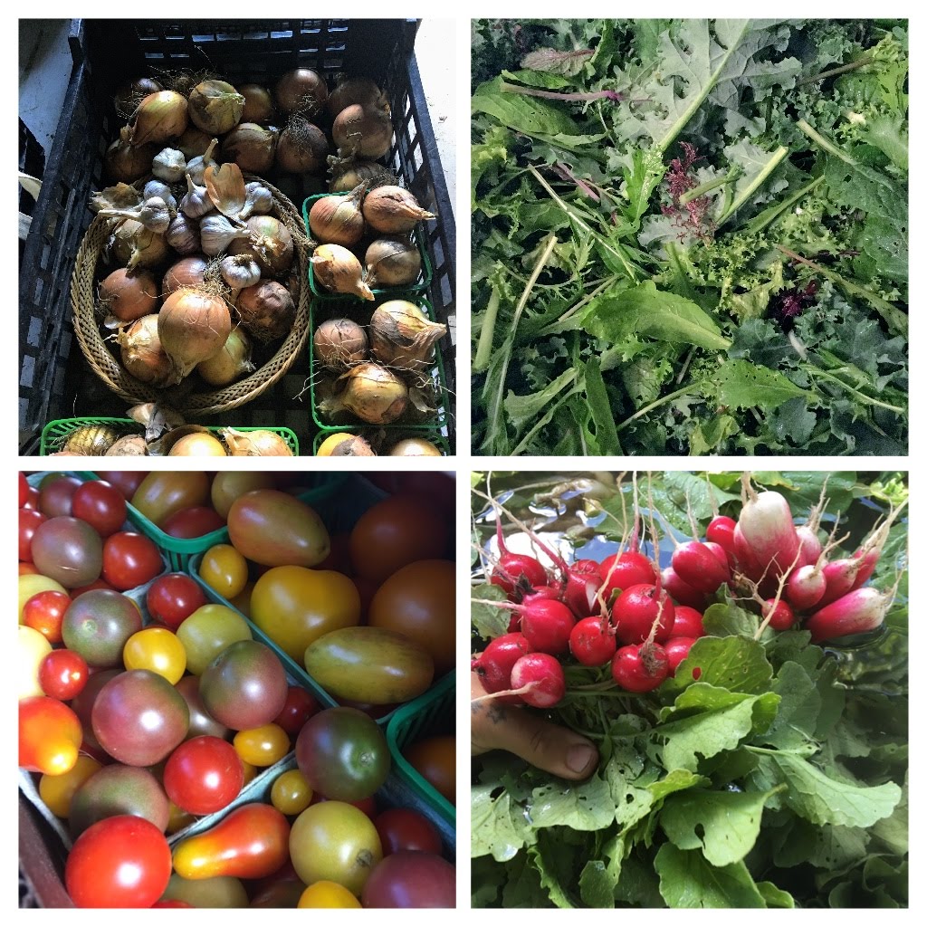 Branching Path Farm | 9 Culver Ln, Simcoe, ON N3Y 2S2, Canada | Phone: (647) 772-7702