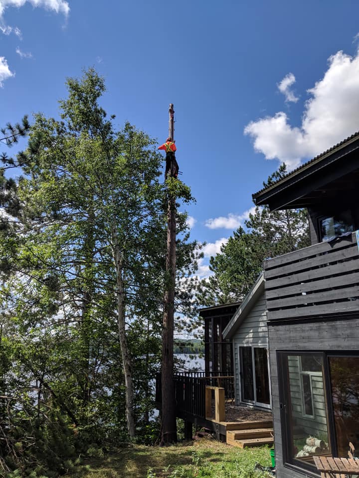 Plunketts Tree Removal Bancroft | 212 McDonald Mine Rd, Bancroft, ON K0L 1C0, Canada | Phone: (613) 334-9383