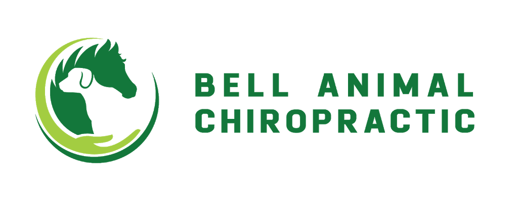 Bell Animal Chiropractic | 86 Dearham Wood, Scarborough, ON M1E 1S4, Canada | Phone: (416) 578-3382