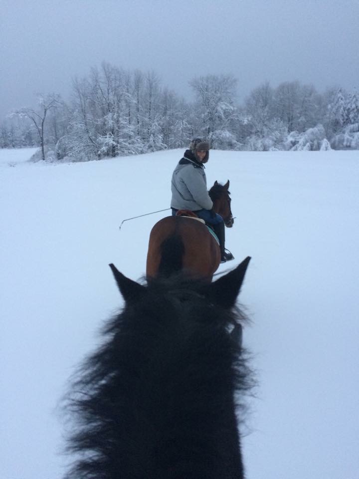 Ferme Sherrview Farm | 888 Chemin Perkins, Sutton, QC J0E 2K0, Canada | Phone: (450) 915-6511