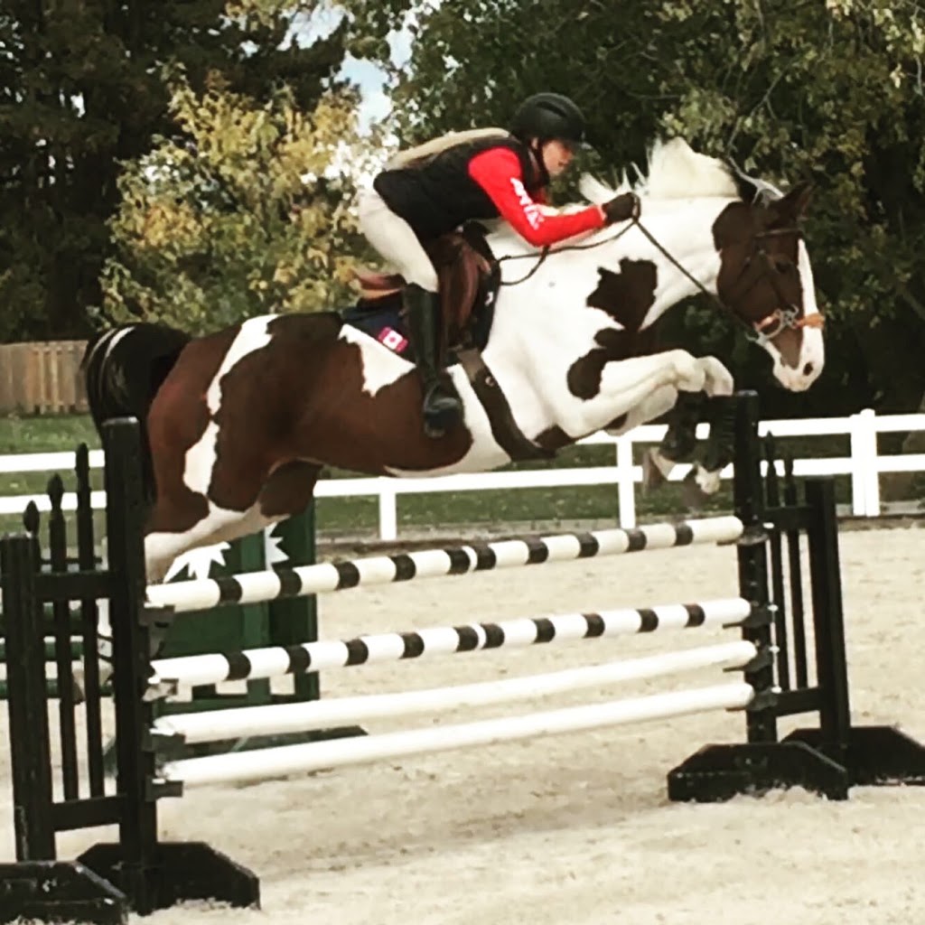 Hess Equestrian | 7790 Concession Rd 5, Uxbridge, ON L9P 1R1, Canada | Phone: (905) 649-0449