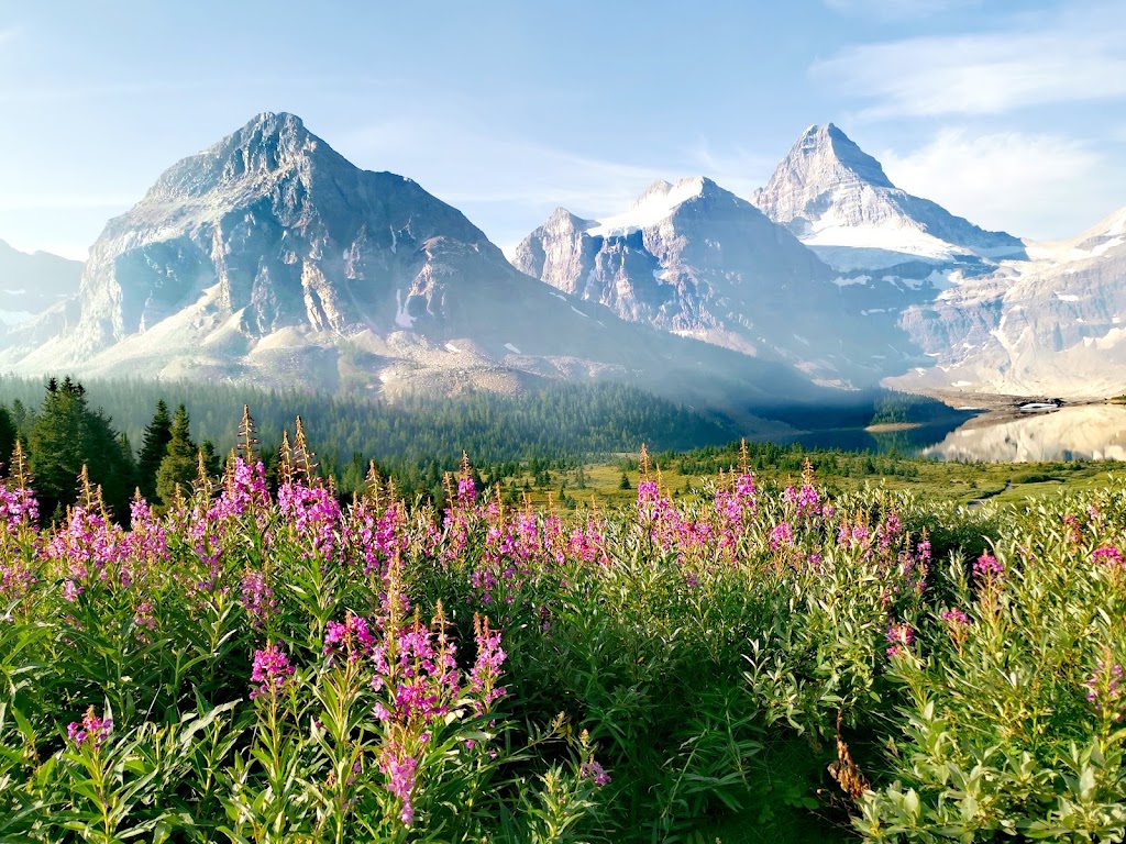 Assiniboine Lodge | Mount Assiniboine Provincial Park, East Kootenay G, BC V0A 1E0, Canada | Phone: (403) 678-2883