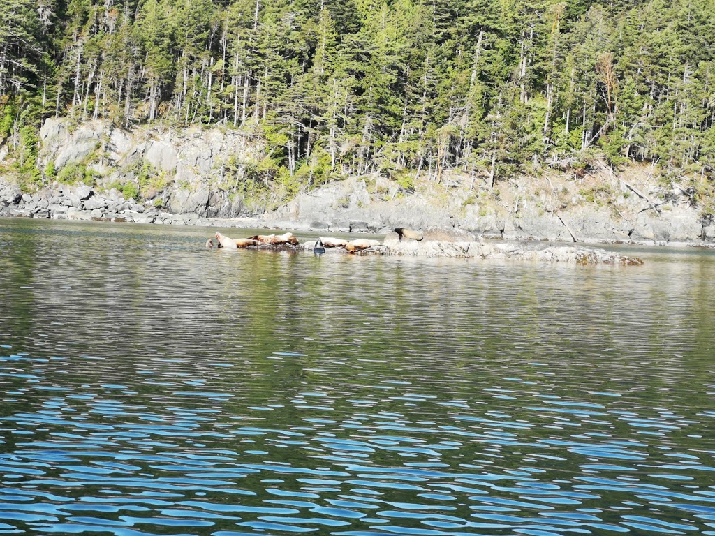 Anderson Bay Provincial Park | Madeira Park, BC V0N 2H0, Canada | Phone: (604) 883-2152