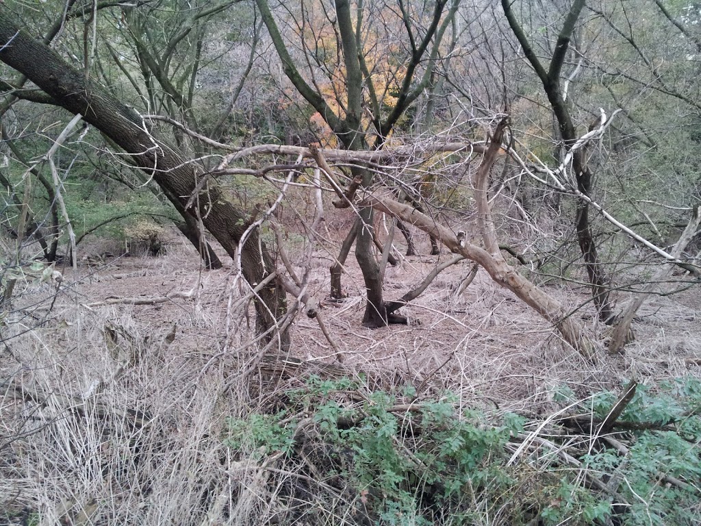 Bestview Hiking Trails | Unnamed Road, North York, ON M2M, Canada